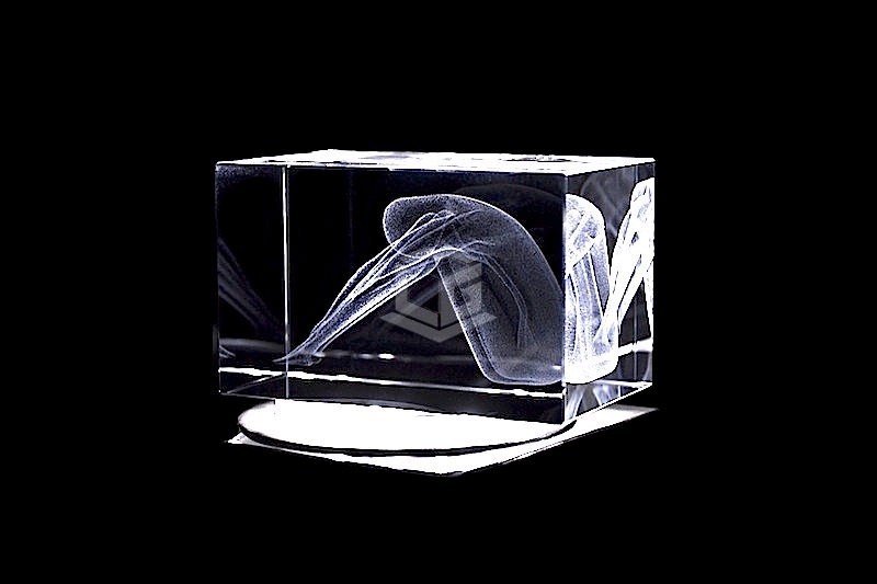 Skulptur Depro | 3D Motiv Glasinnengravur