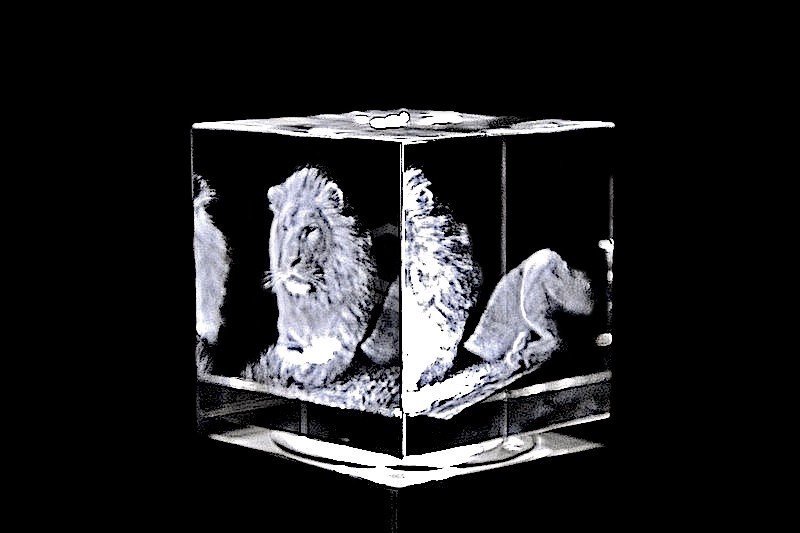 Löwe | 3D Motiv Glasinnengravur