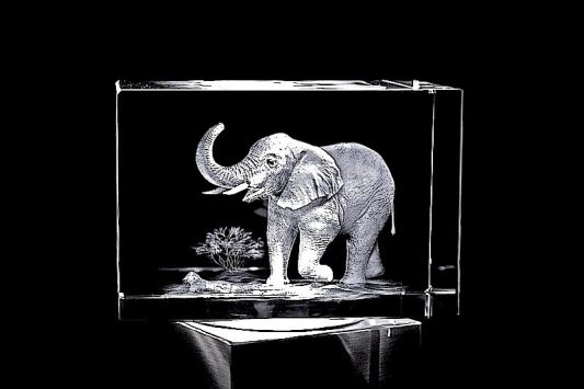 Elefant | 3D Motiv Glasinnengravur