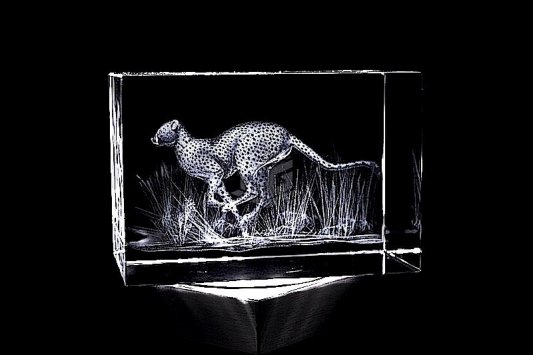 Gepard | 3D Motiv Glasinnengravur