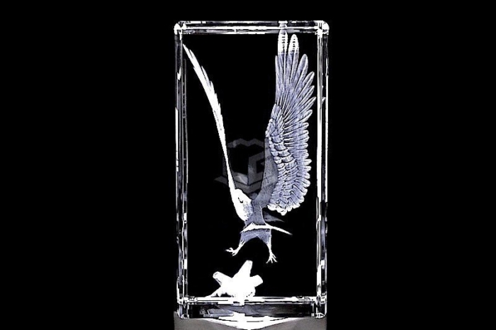 Adler XXL | 3D Motiv Glasinnengravur