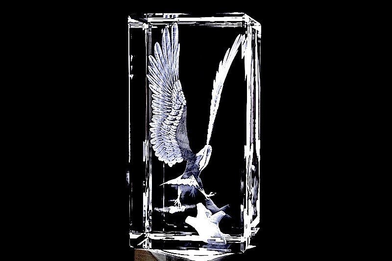 Adler XXL | 3D Motiv Glasinnengravur
