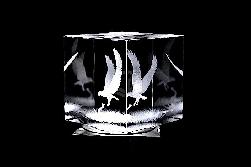 Adler vs. Schlange | 3D Motiv Glasinnengravur