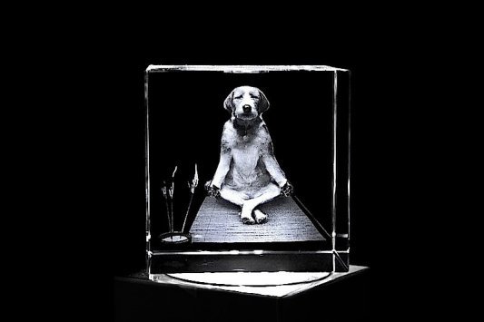 Yoga Hund | 3D Motiv Glasinnengravur