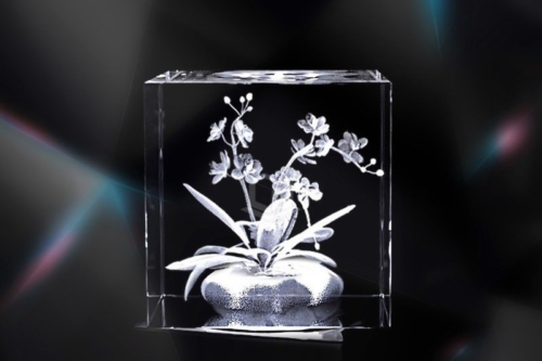 Orchidee | 3D Motiv Glasinnengravur