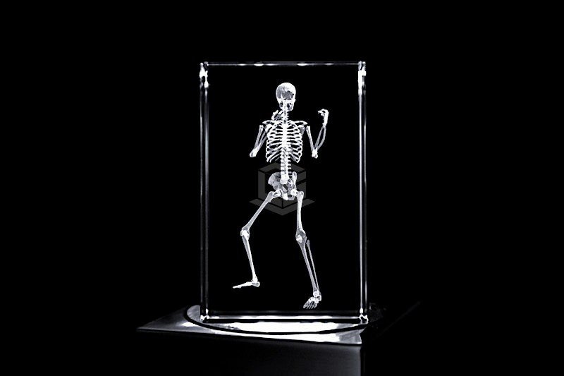 Boxer Skelett | 3D Motiv Glasinnengravur