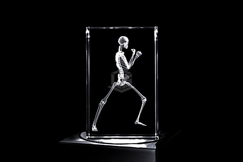 Boxer Skelett | 3D Motiv Glasinnengravur