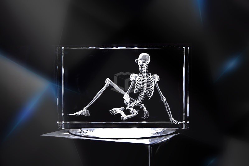 Model Skelett | 3D Motiv Glasinnengravur