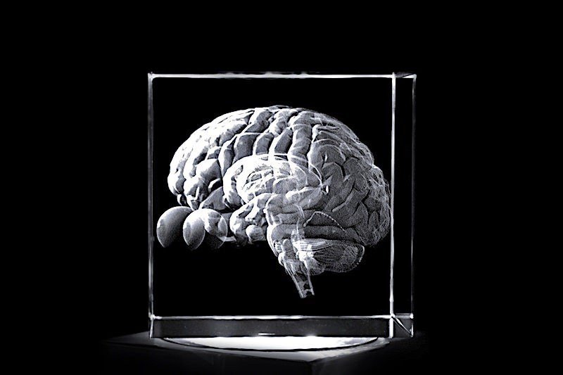Gehirn mit Augen | 3D Motiv Glasinnengravur