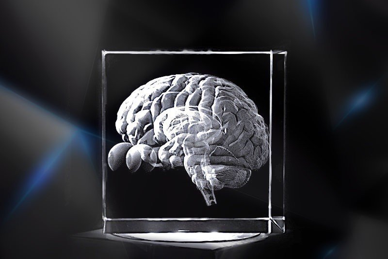 Gehirn mit Augen | 3D Motiv Glasinnengravur