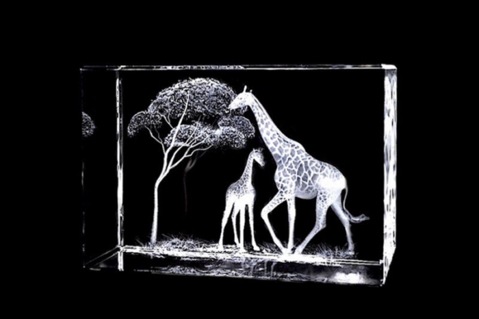 Giraffen | Exclusive 3D Motiv Glasinnengravur