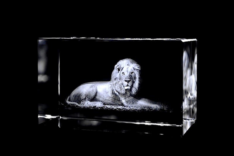 Lion | Exclusive 3D Motiv Glasinnengravur