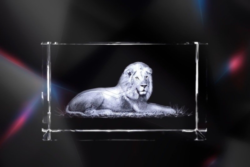 Lion | Exclusive 3D Motiv Glasinnengravur
