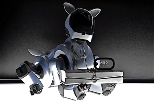 Dog Tag Anhänger | 2D Glasinnengravur