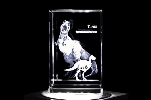 T. Rex / Tyrannosaurus rex | 3D Motiv Glasinnengravur