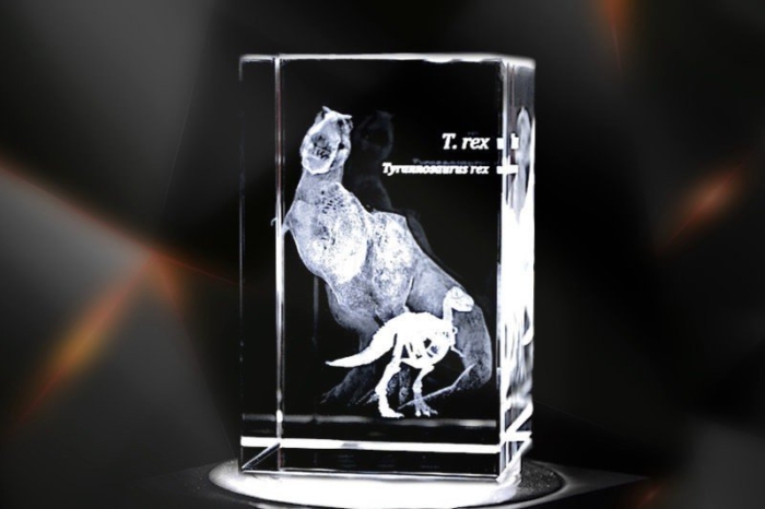 T. Rex / Tyrannosaurus rex | 3D Motiv Glasinnengravur