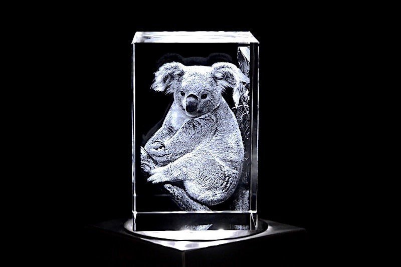 Koala | 3D Motiv Glasinnengravur