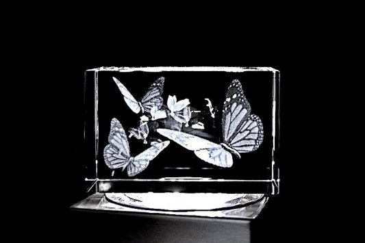 Schmetterlinge mit Orchidee | 3D Motiv Glasinnengravur