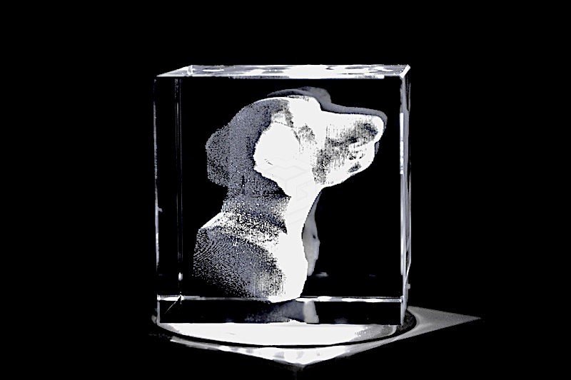 Weimaraner | 3D Motiv Glasinnengravur