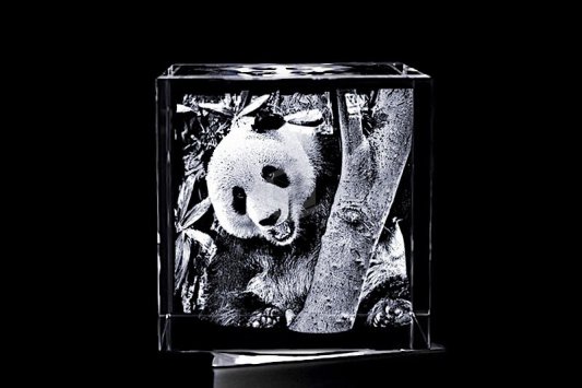 Pandabär | 3D Motiv Glasinnengravur