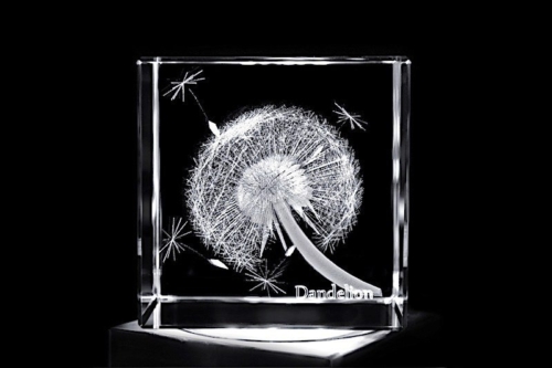 Pusteblume / Löwenzahn / Dandelion | 3D Motiv Glasinnengravur