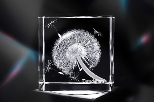 Pusteblume / Löwenzahn / Dandelion | 3D Motiv Glasinnengravur