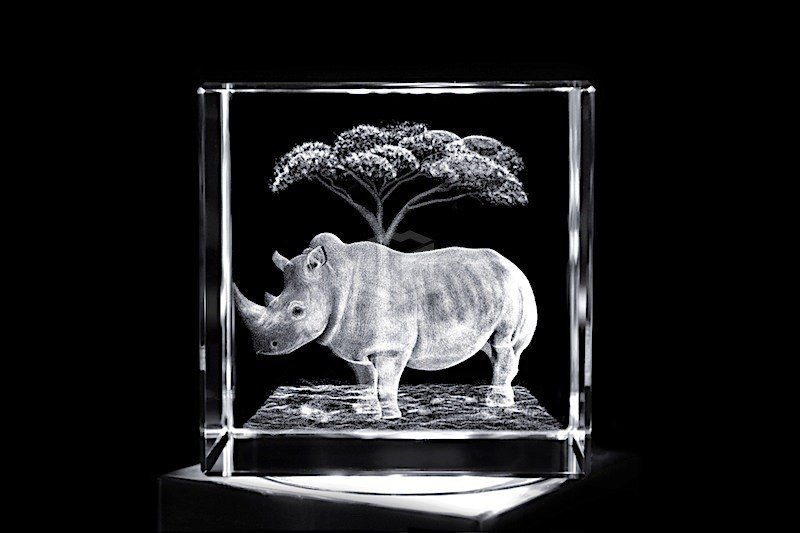 Nashorn-Rhinozeros | 3D Motiv Glasinnengravur