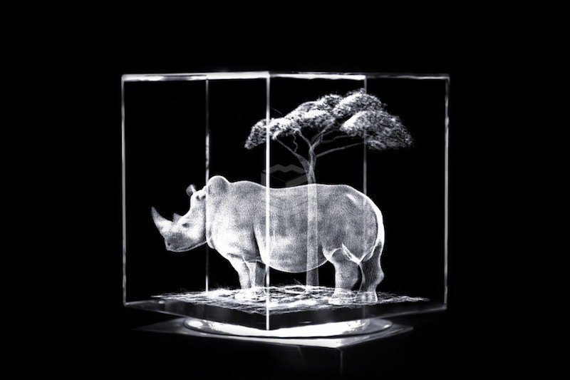Nashorn-Rhinozeros | 3D Motiv Glasinnengravur