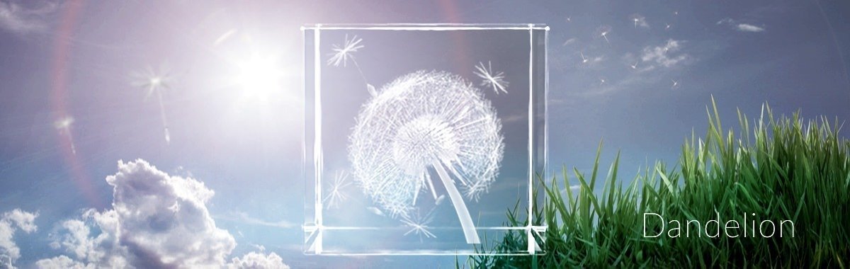 Dandelion – Pusteblume – Löwenzahn / Blumen | 3D Motiv Glasinnengravur Dandelion - Pusteblume - Löwenzahn / Blumen | 3D Motiv Glasinnengravur