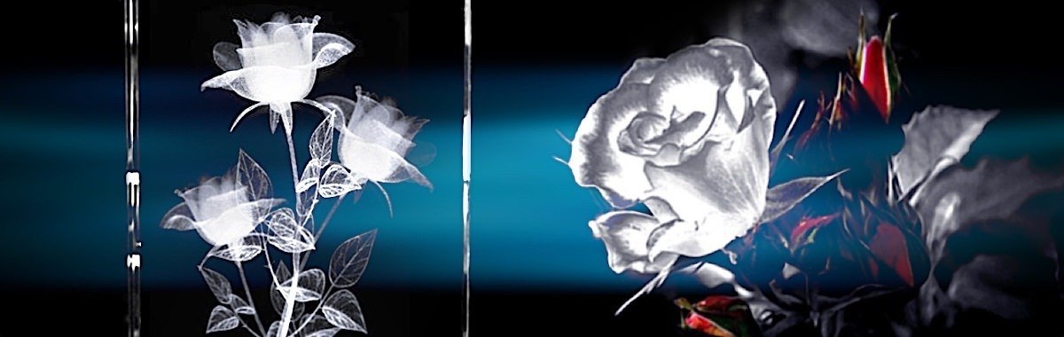 Rosen / Blumen | 3D Motiv Glasinnengravur