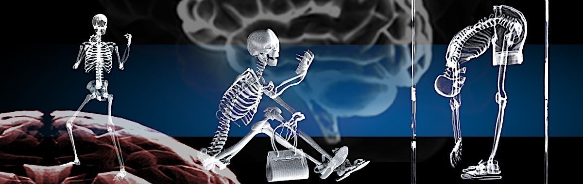 Skelette / Anatomie | 3D Motiv Glasinnengravur