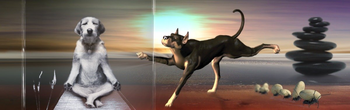 Yoga Hund / Erstaunliche Artikel | 3D Motiv Glasinnengravur