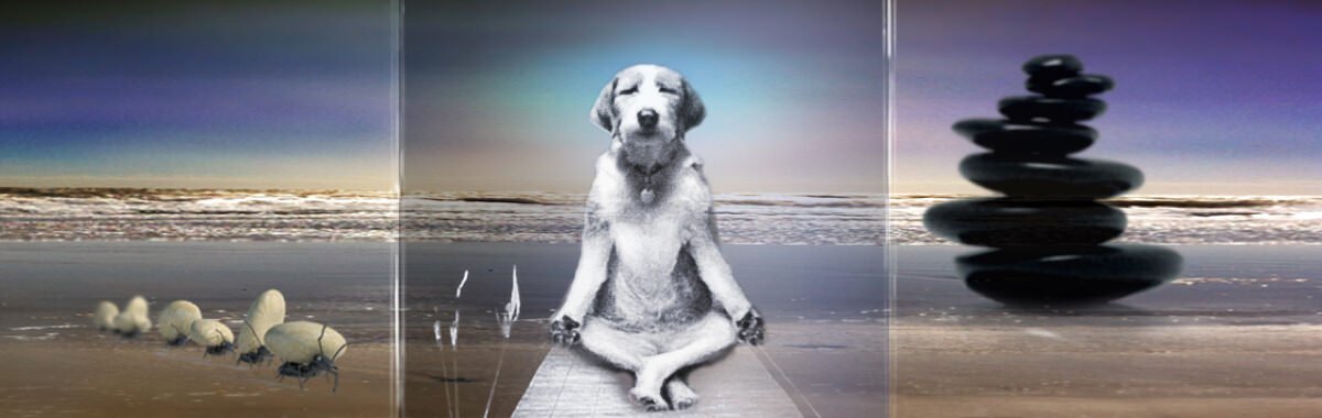 Yoga Hund / Tiere | 3D Motiv Glasinnengravur